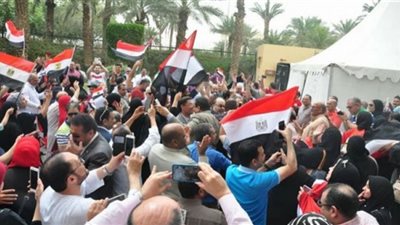 المصريون بالخارج يتمتعون بحقوق غير مسبوقة