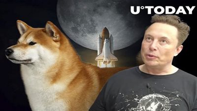 أرنب إيلون ماسك يشعل العملات المشفرة بعد Dogecoin (تفاصيل وصور)