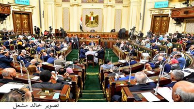 مجلس النواب يوافق على اتفاقية إعادة تأسيس الجامعة الفرنسية بمصر