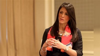 النشاط تبحث مع مؤسسة تمويل التنمية البريطانية (CDC) زيادة أنشطتها في مصر