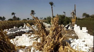 إزالة 26 حالة تعدٍ على الأراضي الزراعية وأملاك الدولة ببني سويف