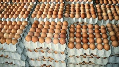 تصل الكرتونة لـ53 جنيهًا.. أسباب الارتفاع الجنوني لأسعار البيض