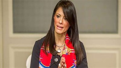 المشاط: 484 مليون دولار قيمة تمويلات مشروع الربط الكهربائي بين مصر والسعودية