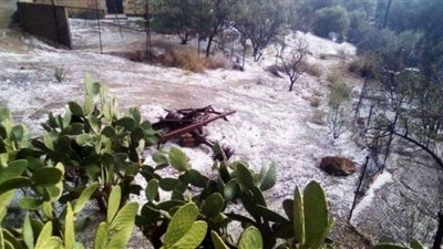 أمطار غزيرة على الجزائر.. والحماية المدنية تنتشر للسيطرة على الأوضاع