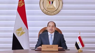 فيديو.. السيسي: إنشاء مشروعات مائية غير مدروسة تحد يمس أمن وسلامة الدول