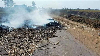 حرق قش الأرز يسبب مخاطر صحية جسيمة لمواطنى الدقهلية