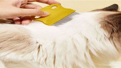 الإفتاء توضح حكم استخدام شعر الحيوانات في التصنيع