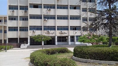 جامعة الزقازيق تدرس حلول مشكلة قرص الغلال المميت