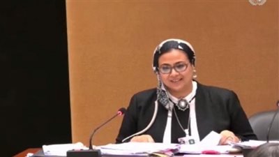 مساعد وزير العدل: الدستور والقوانين الوطنية تضمن حماية الأطفال من الاستغلال