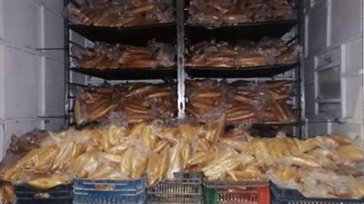 استقرار أسعار رغيف الفينولـ50 بعد تدخل محافظ الشرقية