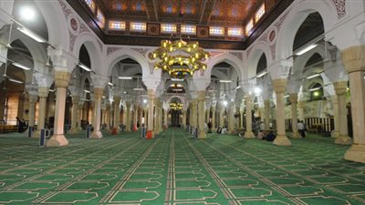 اليوم ذكرى مولد الصوفي الجليل سيدي ابراهيم الدسوقي