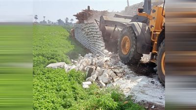 إزالة 575 حالة تعٍد على الأراضي الزراعية وأملاك الدولة ببني سويف