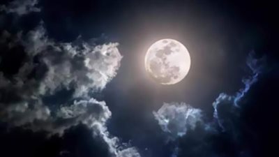 فرصة للتصوير.. 