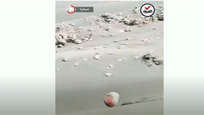 (فيديو) صخرة بركانية تتدحرج من بركان لا بالما في إسبانيا