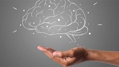 أفضل الأطعمة للحفاظ على صحة الدماغ