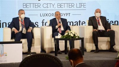 مدير برنامج التنمية المحلية بالصعيد: تنفيذ 1400 مشروع في مجالات البنية التحتية