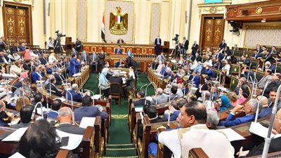 إنفوجراف.. بنود قانون حماية المصريين في الخارج الجديد