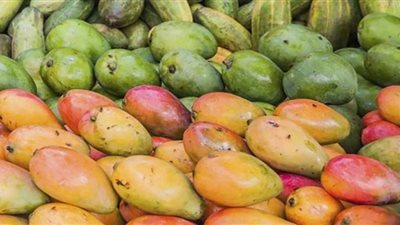 أسعار المانجو وأنواعها اليوم فى الأسواق