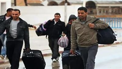 إنفوجراف.. التخصصات المطلوبة لعمل المصريين في ليبيا