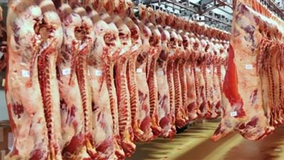 الزراعة يستعرض أهم المواد الغذائية المتاحة في منافذ الوزارة لمواجهة الغلاء (فيديو)