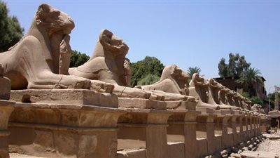 عيد الحصاد عند الفراعنة| أصل احتفالية طريق الكباش بالأقصر (شاهد)