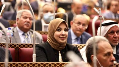 تشريعية الشيوخ تناقش مقترح النائبة دينا هلالي بشأن الكشف النفسي للمقبلين على الزواج