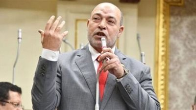 برلماني: التجربة الوطنية الناجحة في التصدي لكورونا درس مصري رائد