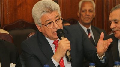 هاني أباظة ليمامة: نسير خلفك لإعلاء قدر الوفد