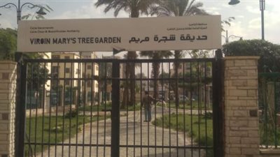 صور.. رئيس حي المطرية يتفقد أعمال تطوير منطقة مزار شجرة مريم