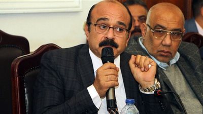 أشرف علي الدين: نحتاج إلى معايير وضوابط لإدارة اللجان العامة