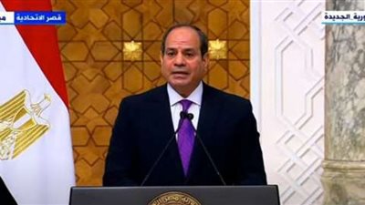 السيسي يستجيب لمطالب سيدة تعاني من شلل حركي وتعول أسرتها