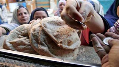 مجلس الوزراء يعلن أسعار العيش الفينو والسياحي