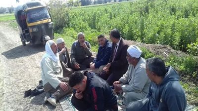 مدرسة حقلية لمزارعى الفول البلدى بمركزى دمنهور والدلنجات