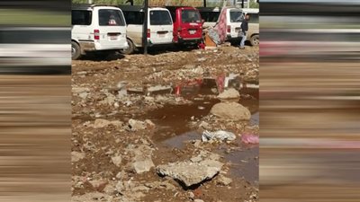 شاهد.. سيارات مدن وقرى الدقهلية تنتظر الركاب في 