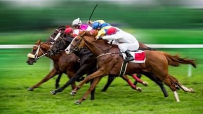 الإفتاء: لا مانع من الرهان في الرياضة بشرط