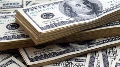 عضو اقتصادية الشيوخ يكشف تأثر المواطن المصري بارتفاع الدولار