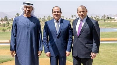 طارق فهمي: زيارة رئيس وزراء إسرائيل لمصر لها أهمية كبيرة في إطار التعاون الإقليمي