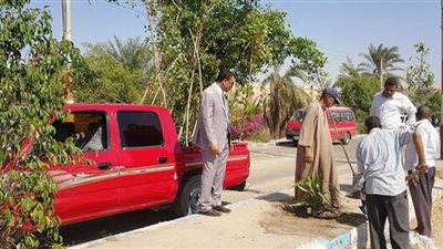 صور.. زراعة 650 شجرة بشوارع حي الكوثر بسوهاج