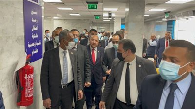 صور.. وفد صحة النواب يتفقد مستشفى الكرنك الدولي