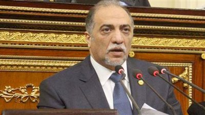 تضامن النواب: مصر بها 7.1 مليون مسن.. وقانون حقوق المسنين ترجمة لاهتمام الدولة بهم