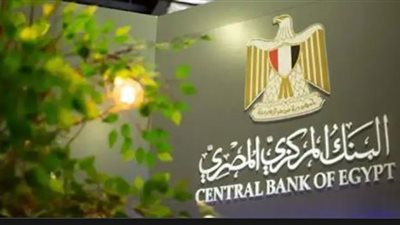 بعد إطلاقه رسميًا.. 13 فائدة لتطبيق إنستا باي