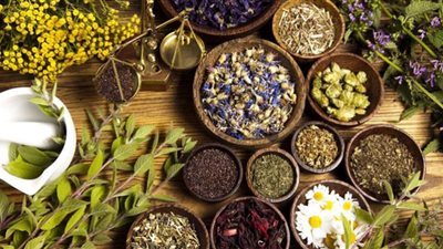 أعشاب علاجية لاغنى عنها في كل مطبخ