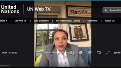 نهاد أبو القمصان: مصر تشهد تطورات مهمة تشريعياً للحد من العنف ضد المرأة