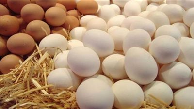 للمبتدئات.. تعرفي ما الفرق بين البيض الأبيض والأحمر