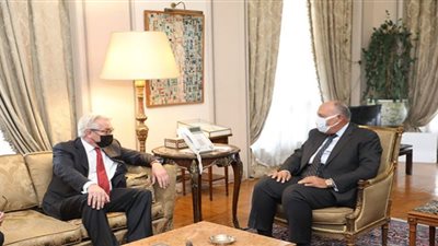 وزير الخارجية يبحث مع المبعوث الأممي سبل دفع عملية السلام
