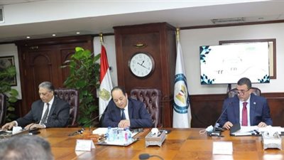 نتائج غير مسبوقة لصيانكو بصافي أرباح 82 مليون جنيه