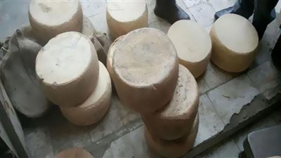 ضبط طني جبن غير صالحة للاستهلاك الآدمى بحوزة قائد سيارة بأسيوط