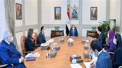 السيسي يوجه بإنشاء آلية مؤسسية لرصد وتقييم نتائج مشروع تنمية الأسرة المصرية