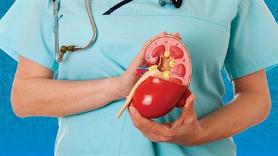 توصيات يجب اتباعها إذا تم العثور على حصوات الكلى