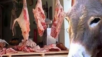 ضبط طن لحم حمير وكلاب بالإسماعيلية